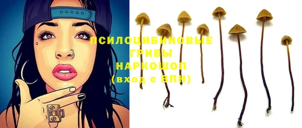 прущие крисы Арсеньев