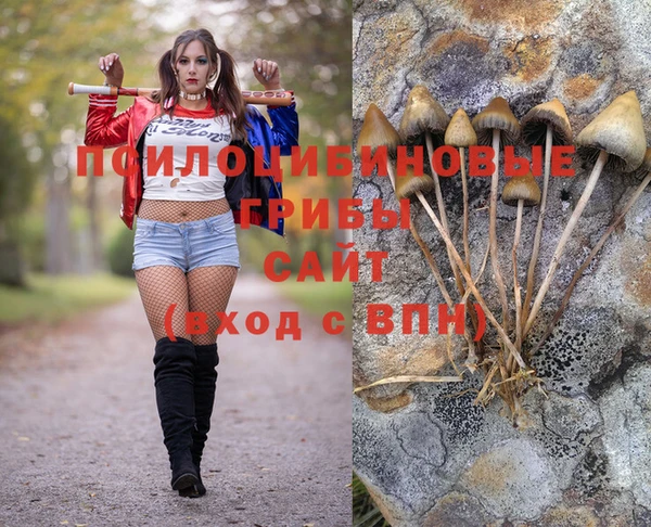 ешки Армянск