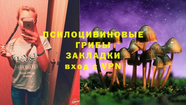кокаин Алексеевка