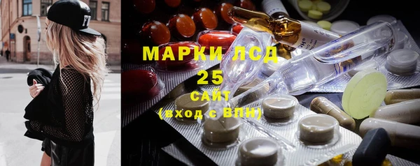 ECSTASY Алзамай